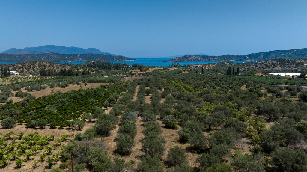 Αγροτεμάχια 21.780 τ.μ. πρός πώληση, Νησιά Αργοσαρωνικού, Τροιζήνα