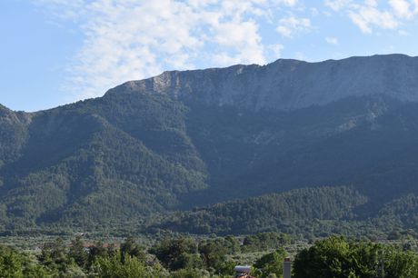 Οικόπεδο 435τ.μ. για πώληση-Θάσος » Χρυσή αμμουδιά