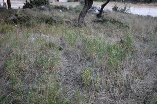Αγροτεμάχια 510 τ.μ. για πώληση
