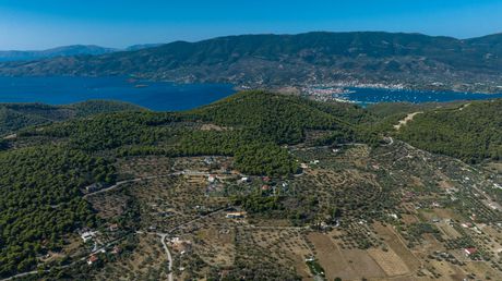 Αγροτεμάχια 4.800τ.μ. για πώληση-Πόρος » Άγιος νεκτάριος