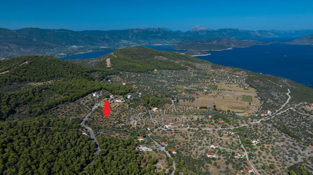 Αγροτεμάχια 4.800 τ.μ. προς πώληση, Άγιος Νεκτάριος Πόρου
