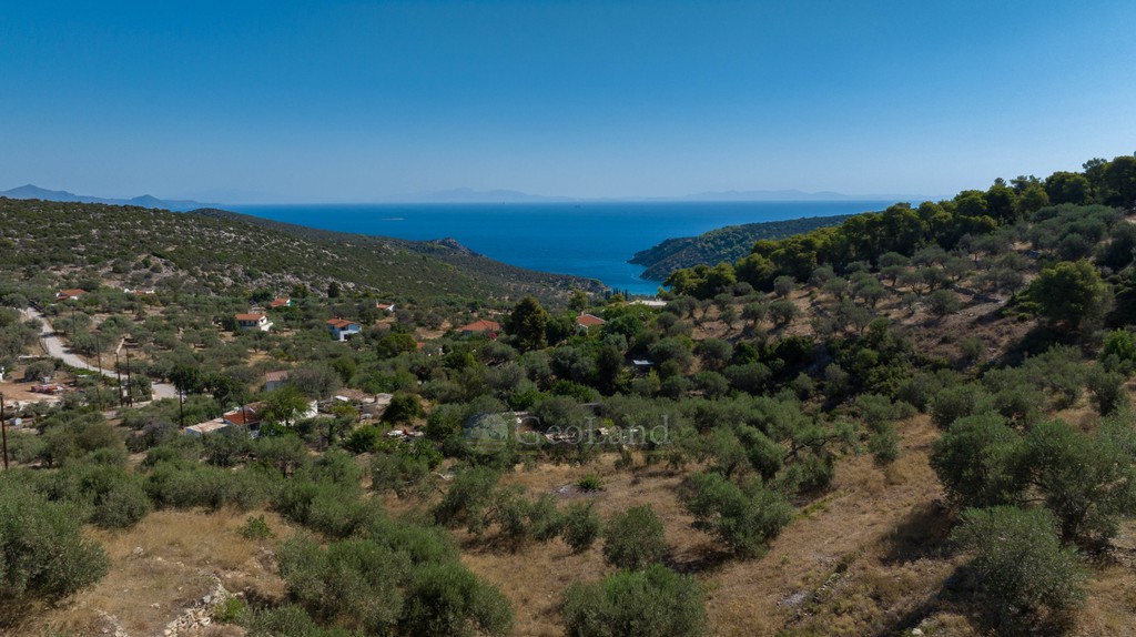 Αγροτεμάχια 4.800 τ.μ. προς πώληση, Άγιος Νεκτάριος Πόρου