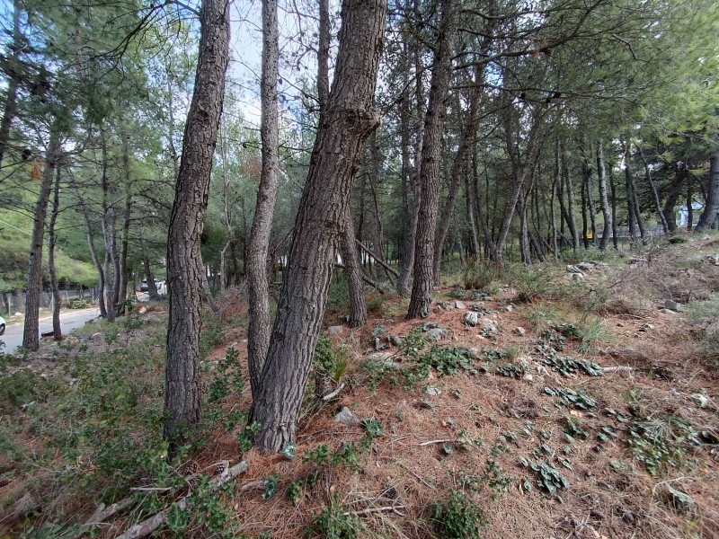 Οικόπεδο 414 τ.μ. πρός πώληση, Αθήνα - Βόρεια Προάστια, Διόνυσος