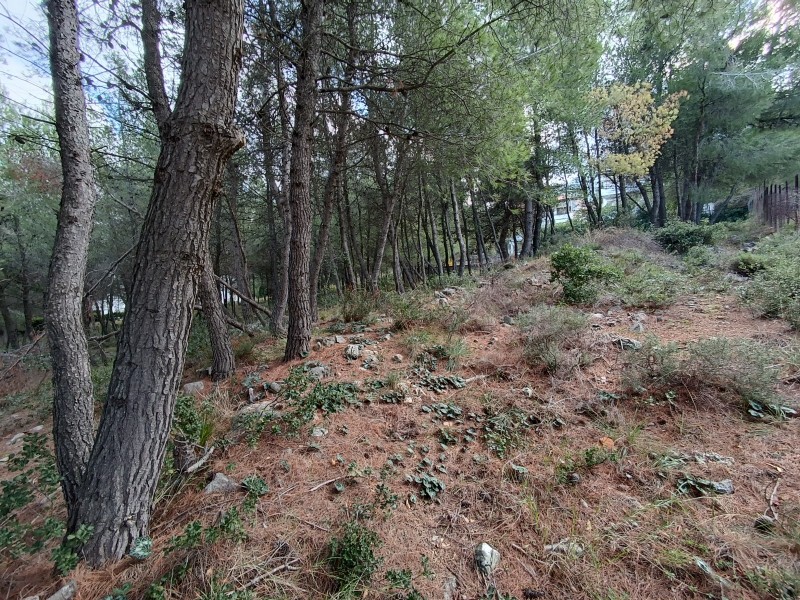 Οικόπεδο 414 τ.μ. πρός πώληση, Αθήνα - Βόρεια Προάστια, Διόνυσος