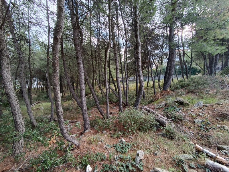 Οικόπεδο 414 τ.μ. πρός πώληση, Αθήνα - Βόρεια Προάστια, Διόνυσος