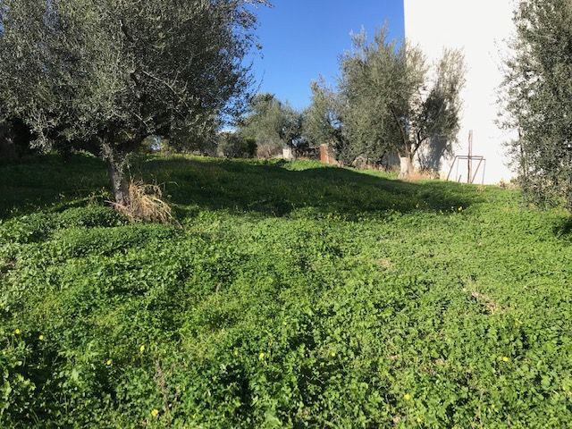 Οικόπεδο 1.258 τ.μ. πρός πώληση, Κορινθία, Σικυώνα