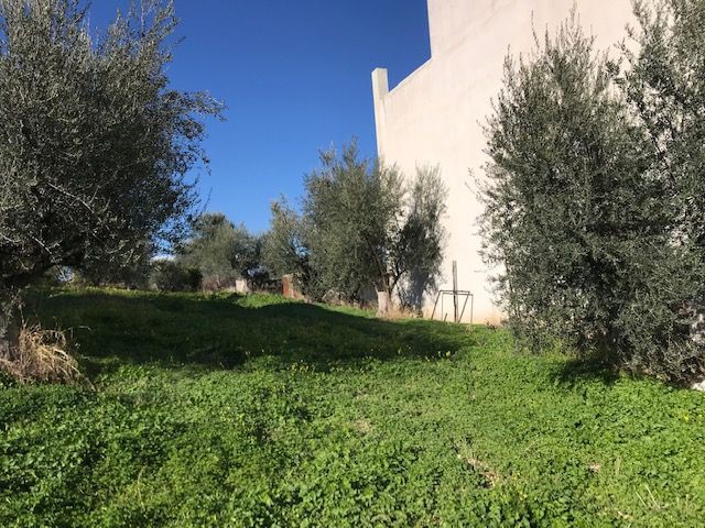 Οικόπεδο 1.258 τ.μ. πρός πώληση, Κορινθία, Σικυώνα