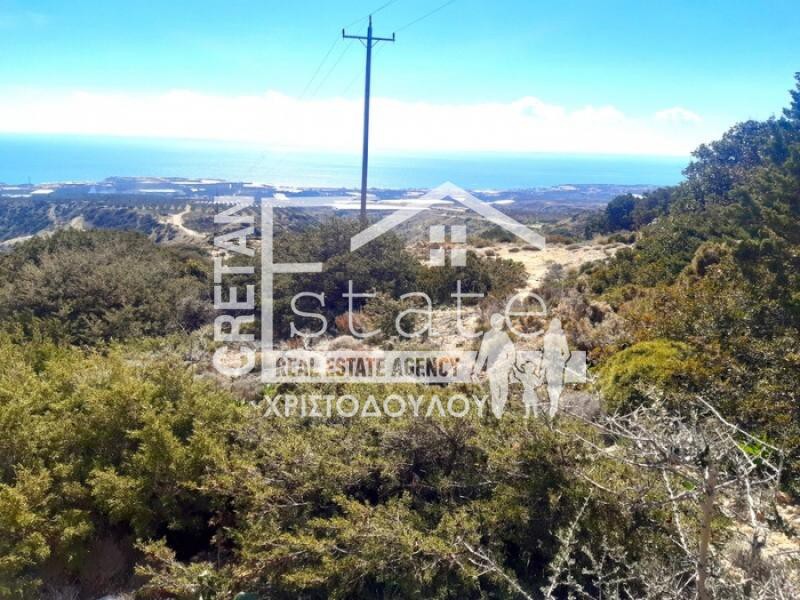 Αγροτεμάχια 85.000 τ.μ. προς πώληση, Κουτσουνάρι