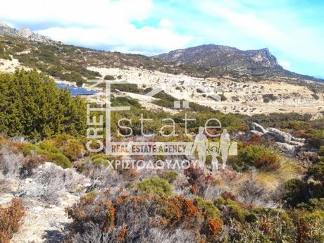 Αγροτεμάχια 85.000τ.μ. για πώληση-Ιεράπετρα » Κουτσουνάρι