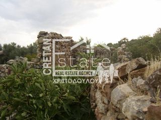 Αγροτεμάχια 100 τ.μ. για πώληση, Ν. Λασιθίου, Ιεράπετρα-thumb-9