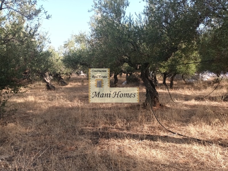 Οικόπεδο 741 τ.μ. πρός πώληση, Μεσσηνία, Λεύκτρος