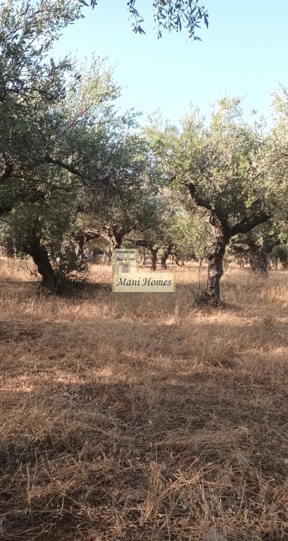 Οικόπεδο 741 τ.μ. πρός πώληση, Μεσσηνία, Λεύκτρος