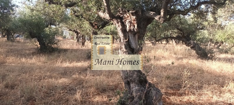Οικόπεδο 741 τ.μ. πρός πώληση, Μεσσηνία, Λεύκτρος