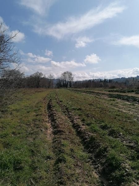 Οικόπεδο 18.896 τ.μ. προς πώληση, Νέα Σινασός