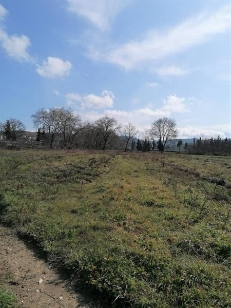 Οικόπεδο 18.896 τ.μ. προς πώληση, Νέα Σινασός