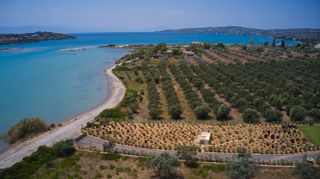 Αγροτεμάχια 5.191 τ.μ. για πώληση, Αργολίδα, Κρανίδι-thumb-9
