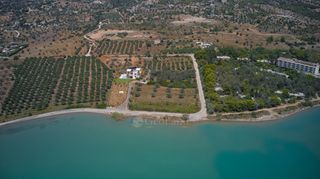 Αγροτεμάχια 5.191 τ.μ. για πώληση, Αργολίδα, Κρανίδι-thumb-6