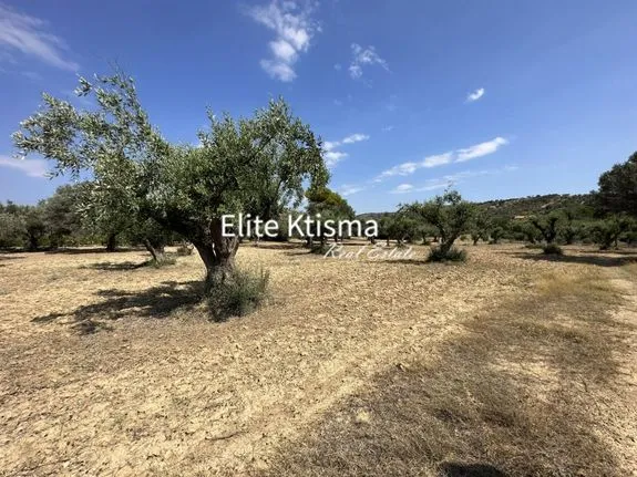 Parcel 1.767 sqm for sale, Rest Of Attica, Keratea