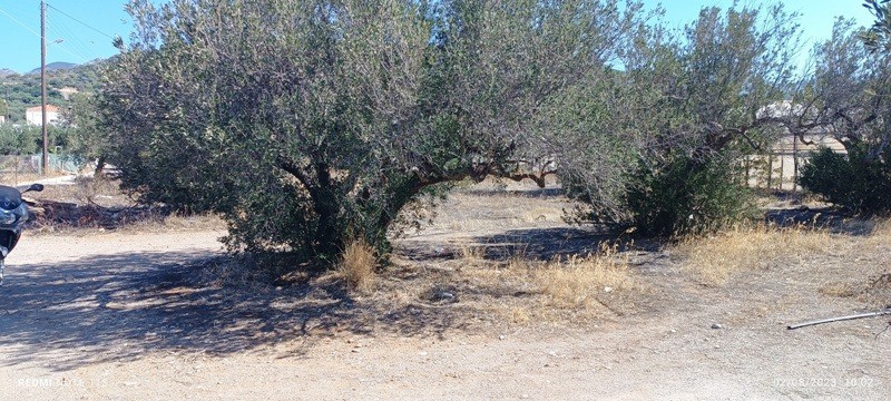 Οικόπεδο 685 τ.μ. πρός πώληση, Ν. Λασιθίου, Ιεράπετρα