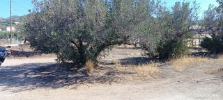 Οικόπεδο 685 τ.μ. για πώληση, Ν. Λασιθίου, Ιεράπετρα-thumb-2