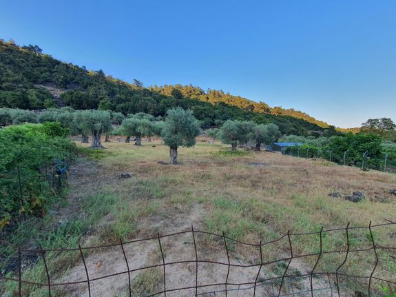 Αγροτεμάχια 4.179 τ.μ. για πώληση, Ν. Καβάλας, Θάσος