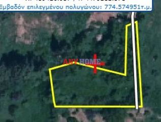 Land plot 740 sqm for sale