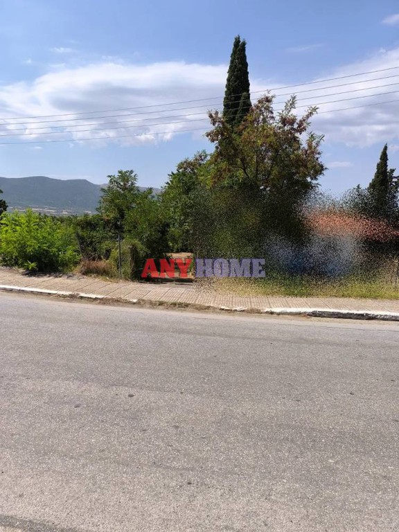 Οικόπεδο 740 τ.μ. πρός πώληση, Χαλκιδική, Ανθεμούντας