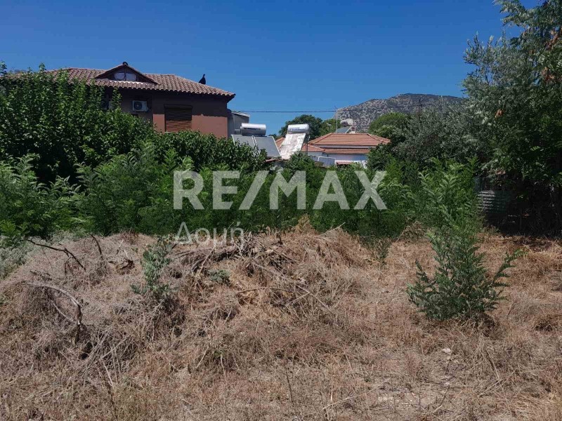 Οικόπεδο 285 τ.μ. πρός πώληση, Μαγνησία, Αγριά