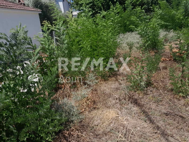 Οικόπεδο 285 τ.μ. πρός πώληση, Μαγνησία, Αγριά