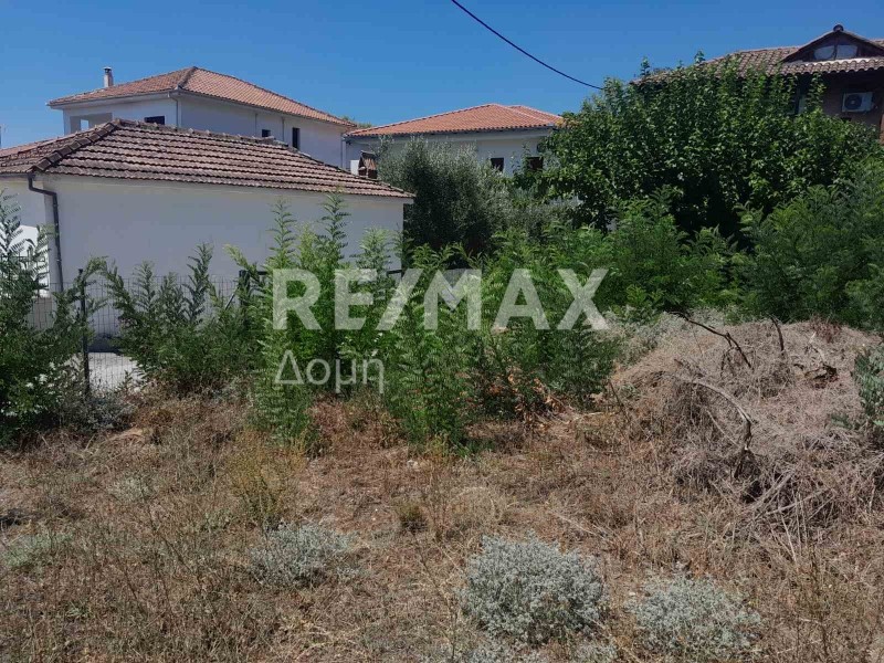 Οικόπεδο 285 τ.μ. πρός πώληση, Μαγνησία, Αγριά