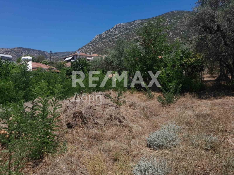 Οικόπεδο 285 τ.μ. πρός πώληση, Μαγνησία, Αγριά