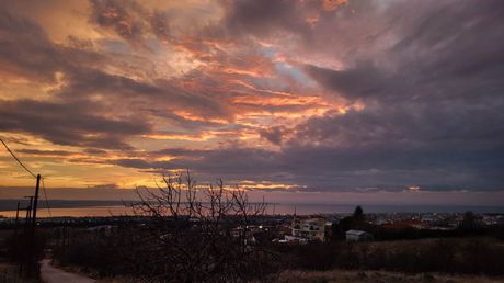 Parcel 4.007sqm for sale-Panorama » Oikismos Topografon