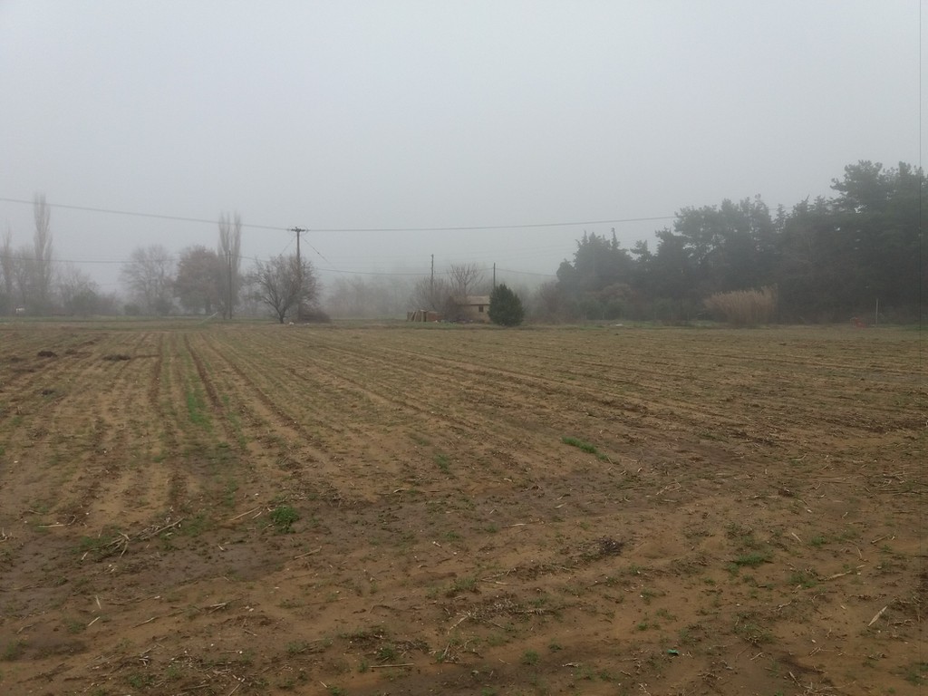 Αγροτεμάχια 12.000 τ.μ. πρός πώληση, Εβρος, Αλεξανδρούπολη