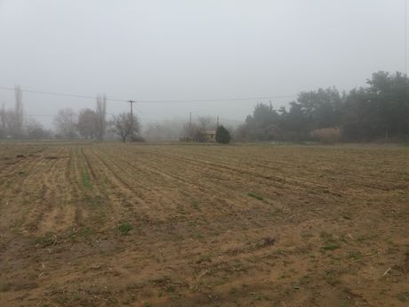 Αγροτεμάχια 12.000 τ.μ. πρός πώληση