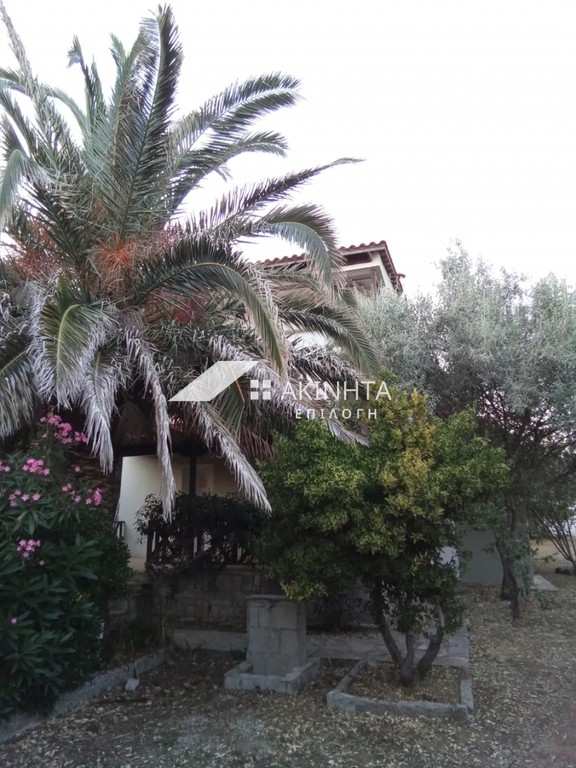 Μεζονέτα 120 τ.μ. πρός πώληση, Εβρος, Αλεξανδρούπολη