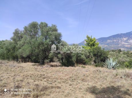 Οικόπεδο 1.570 τ.μ. για πώληση