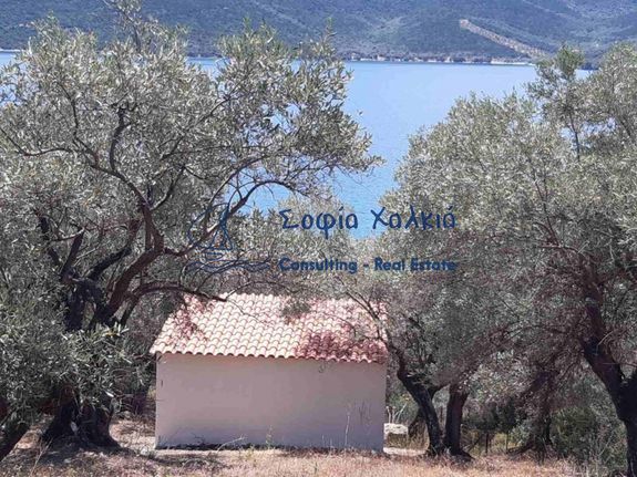 Parcel 936 sqm for sale, Magnesia, Trikeri