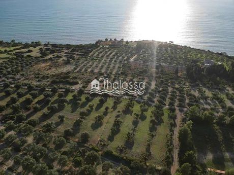 Land plot 8.000 sqm for sale