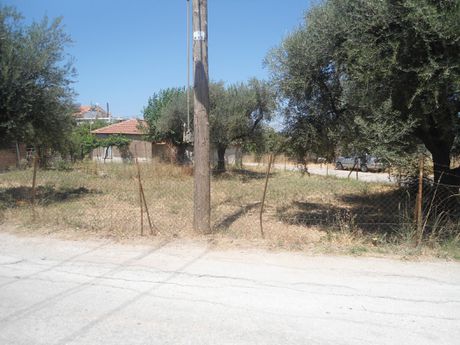 Οικόπεδο 290τ.μ. για πώληση-Μεσσατίδα » Οβριά