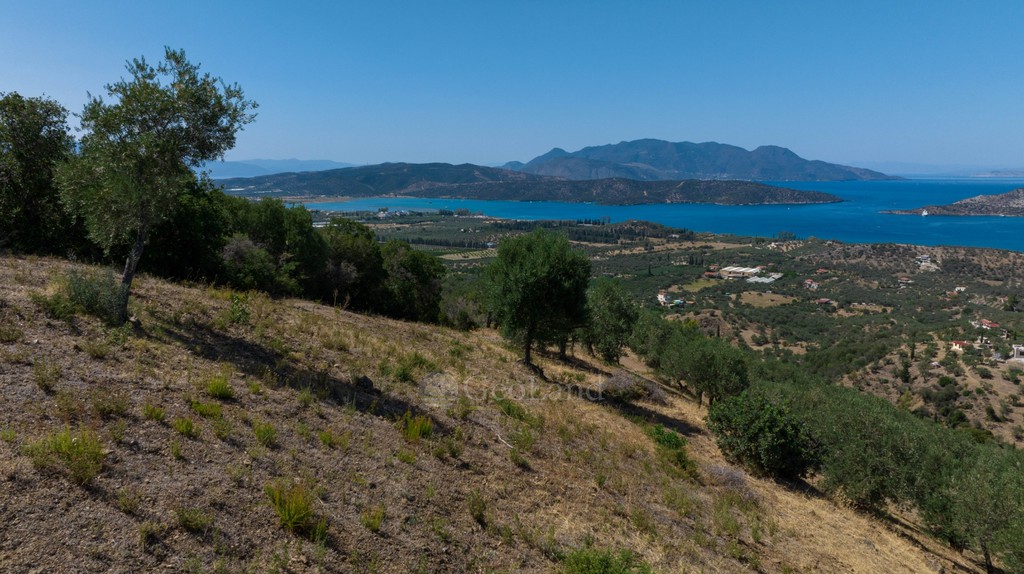 Οικόπεδο 22.000 τ.μ. πρός πώληση, Νησιά Αργοσαρωνικού, Τροιζήνα
