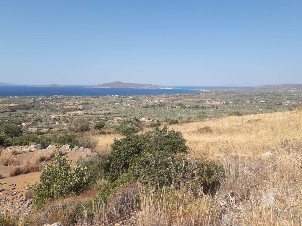 Οικόπεδο 543 τ.μ. προς πώληση, Άγιος Κωνσταντίνος Βοιών