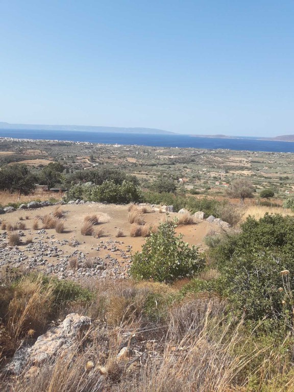 Οικόπεδο 543 τ.μ. προς πώληση, Άγιος Κωνσταντίνος Βοιών