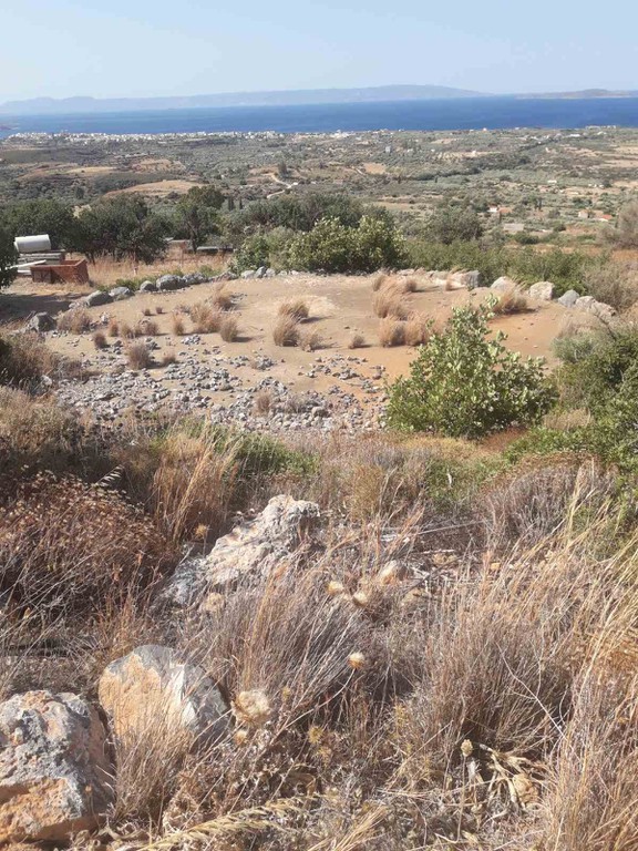 Οικόπεδο 543 τ.μ. προς πώληση, Άγιος Κωνσταντίνος Βοιών