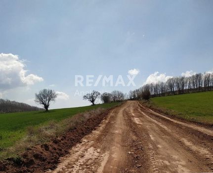 Parcel 6.688sqm for sale-Poligiros » Agios Prodromos