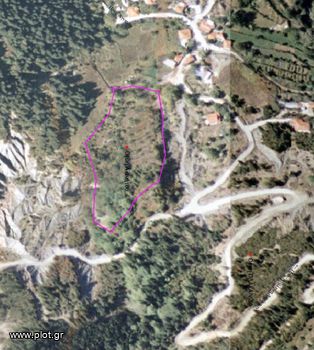 Οικόπεδο 10.000 τ.μ. για πώληση