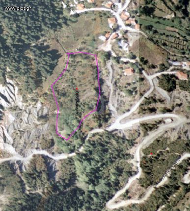 Οικόπεδο 10.000 τ.μ. για πώληση, Ν. Άρτας, Άγναντα