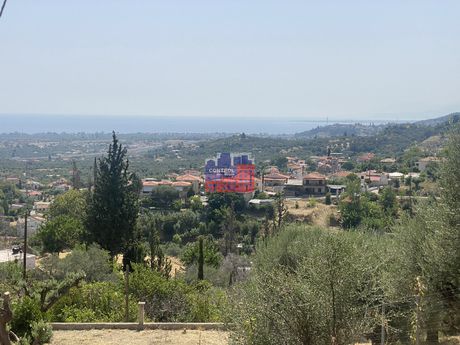 Οικόπεδο 735 τ.μ. για πώληση