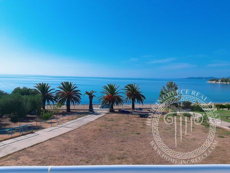 Βίλλα 250τ.μ. για πώληση-Σιθωνία » Παραλία νικήτης