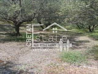 Αγροτεμάχια 3.604 τ.μ. για πώληση, Ν. Λασιθίου, Ιεράπετρα-thumb-4