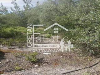 Αγροτεμάχια 3.604 τ.μ. για πώληση, Ν. Λασιθίου, Ιεράπετρα-thumb-5
